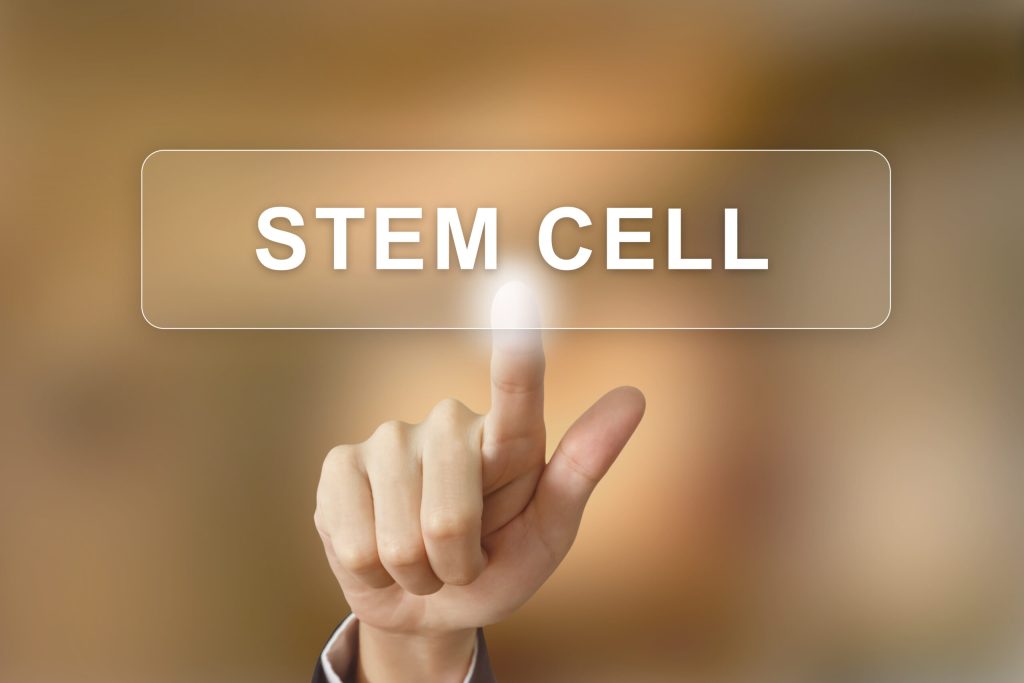 stem cell raleigh