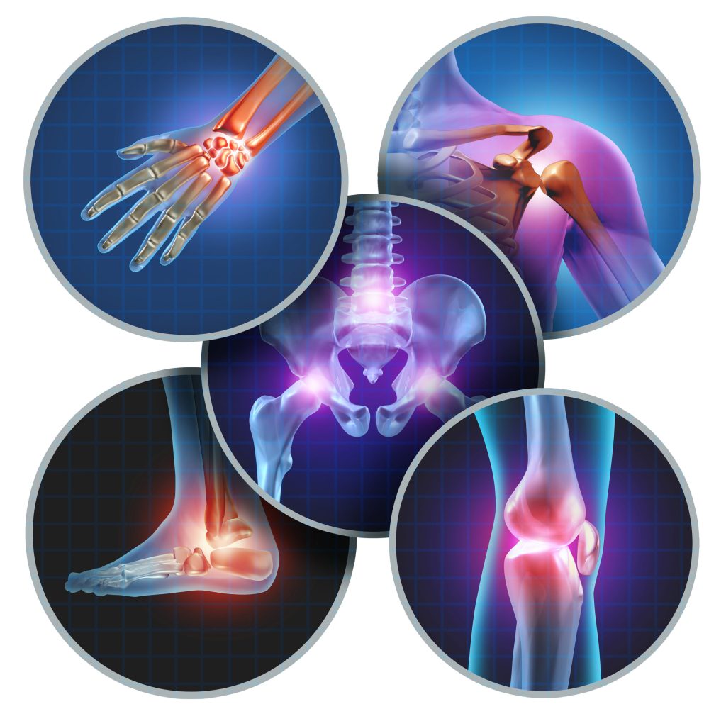 physical therapy raleigh